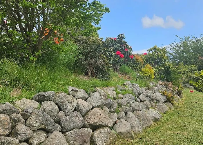 Ferienhaus Rough Meadows - Mtb Haven & Good Vibes Retreat *
