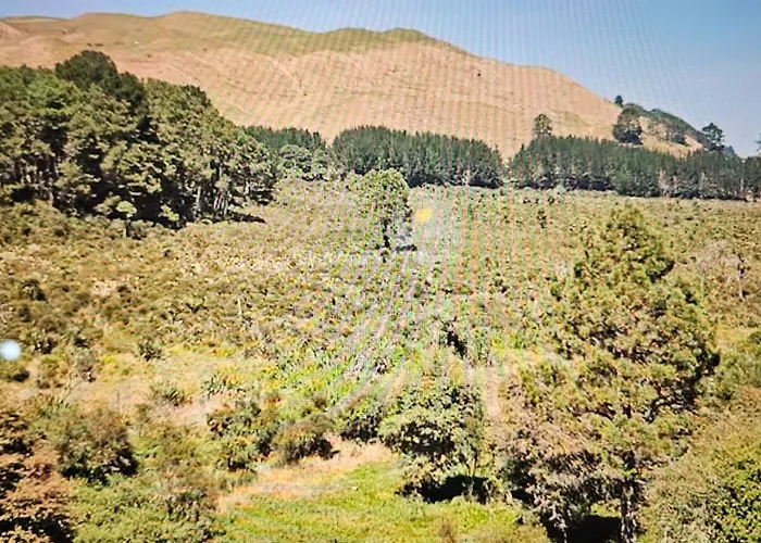 Ferienhaus Rough Meadows - Mtb Haven & Good Vibes Retreat Rotorua