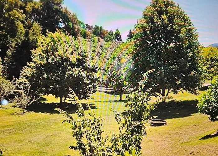 Rough Meadows - Mtb Haven & Good Vibes Retreat