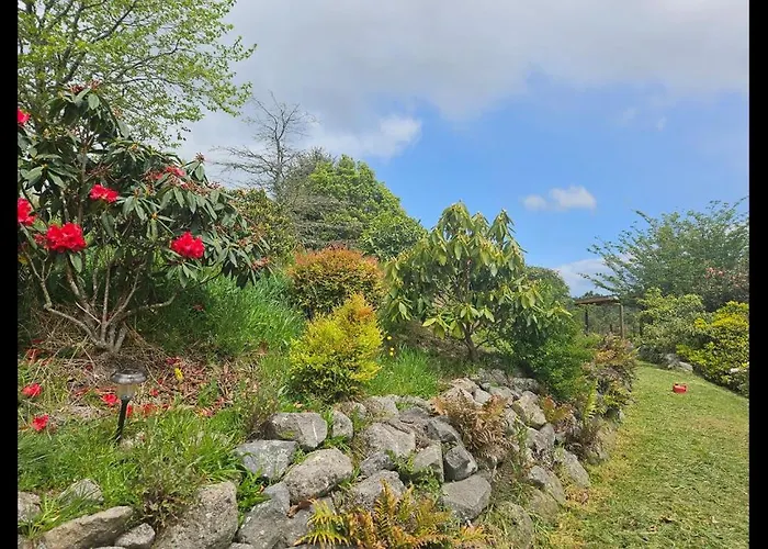 Rough Meadows - Mtb Haven & Good Vibes Retreat * Rotorua