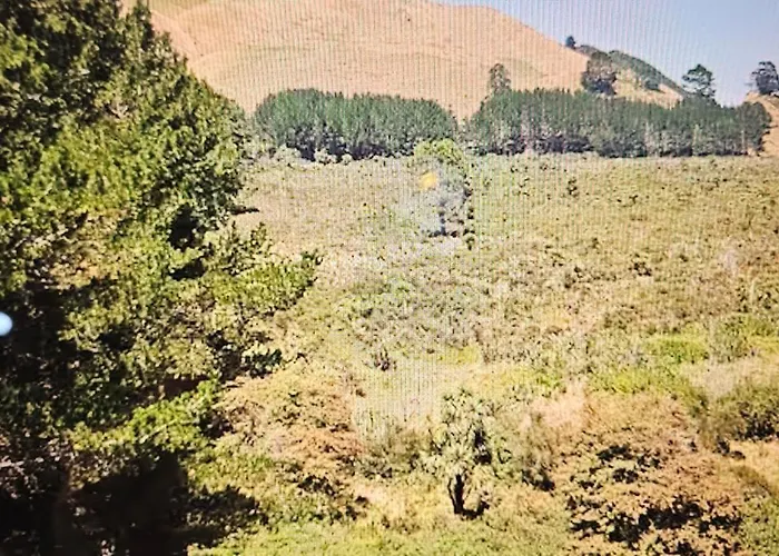 Rough Meadows - Mtb Haven & Good Vibes Retreat *
